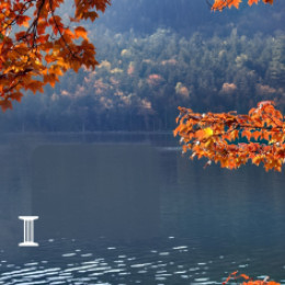 Fall leaves on lake with bank logo