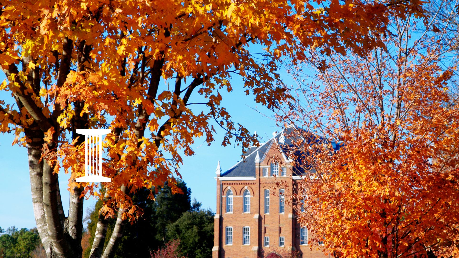 Beware of Scholarship Scams