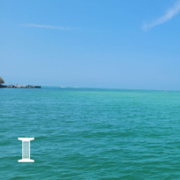 Tropical ocean