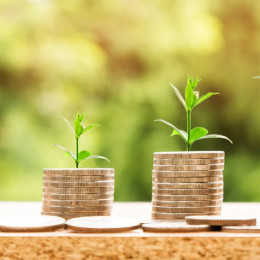 Spring into savings with 4 tips