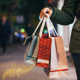 Protect Yourself from Fraud this Holiday Season